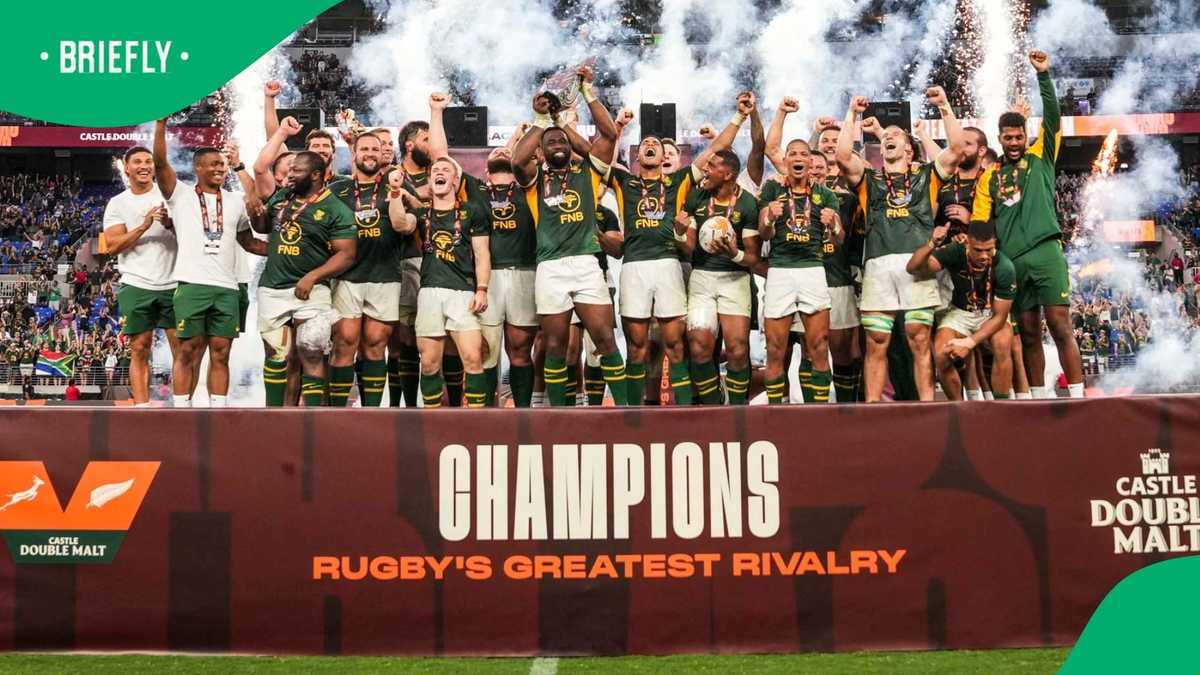 Former England player says Springboks’ B team could be world No. 2 ...
