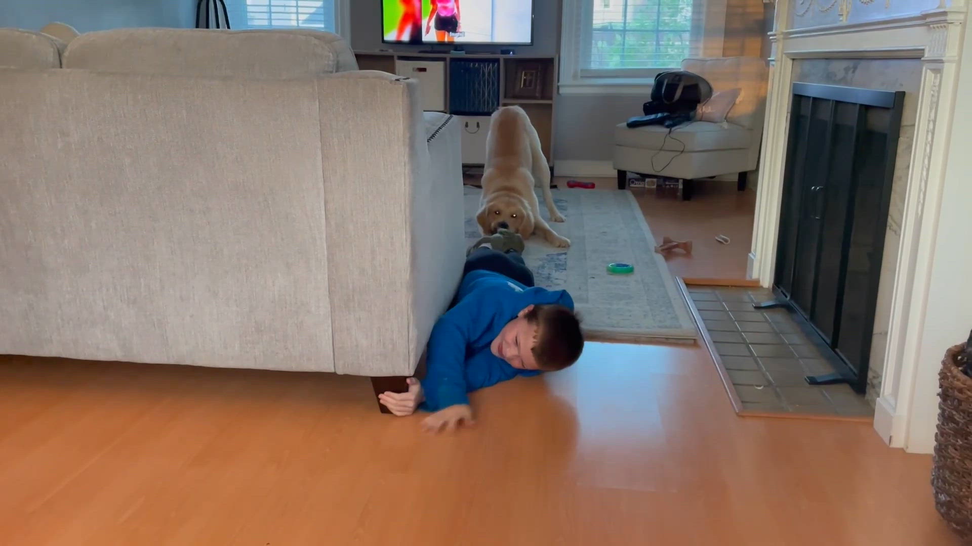 The cutest and funniest epic fails