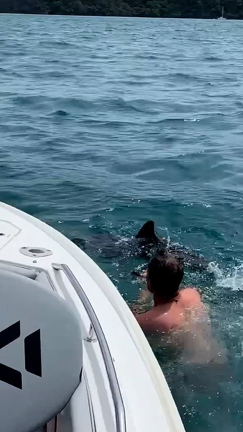 New Zealand boaters rescue dolphin tangled in fishing line