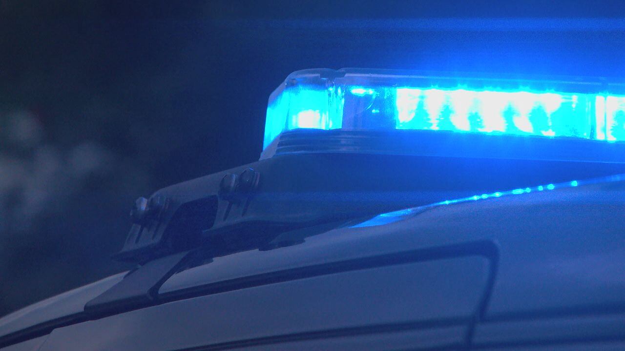 Two minors arrested after attempted burglary at Wilmington Island home