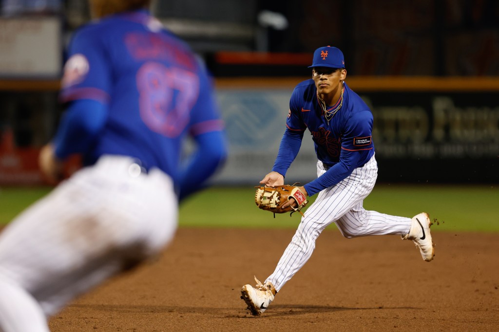 prospects-mitch-voit-and-jonathan-santucci-making-mets-take-notice-with