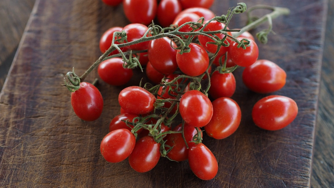 Italian tomato varieties for sweet pasta sauces