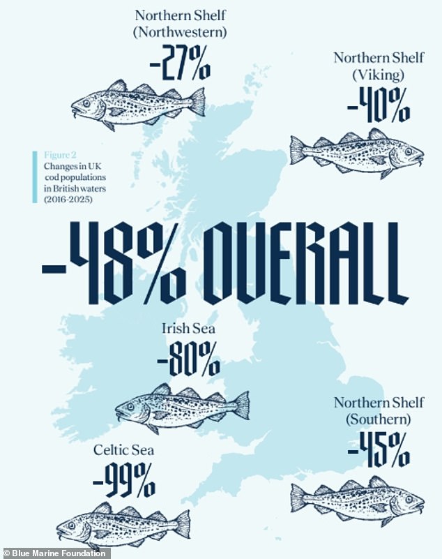 Fish and chips could be off the menu: UK cod stocks have crashed by 48%, study warns