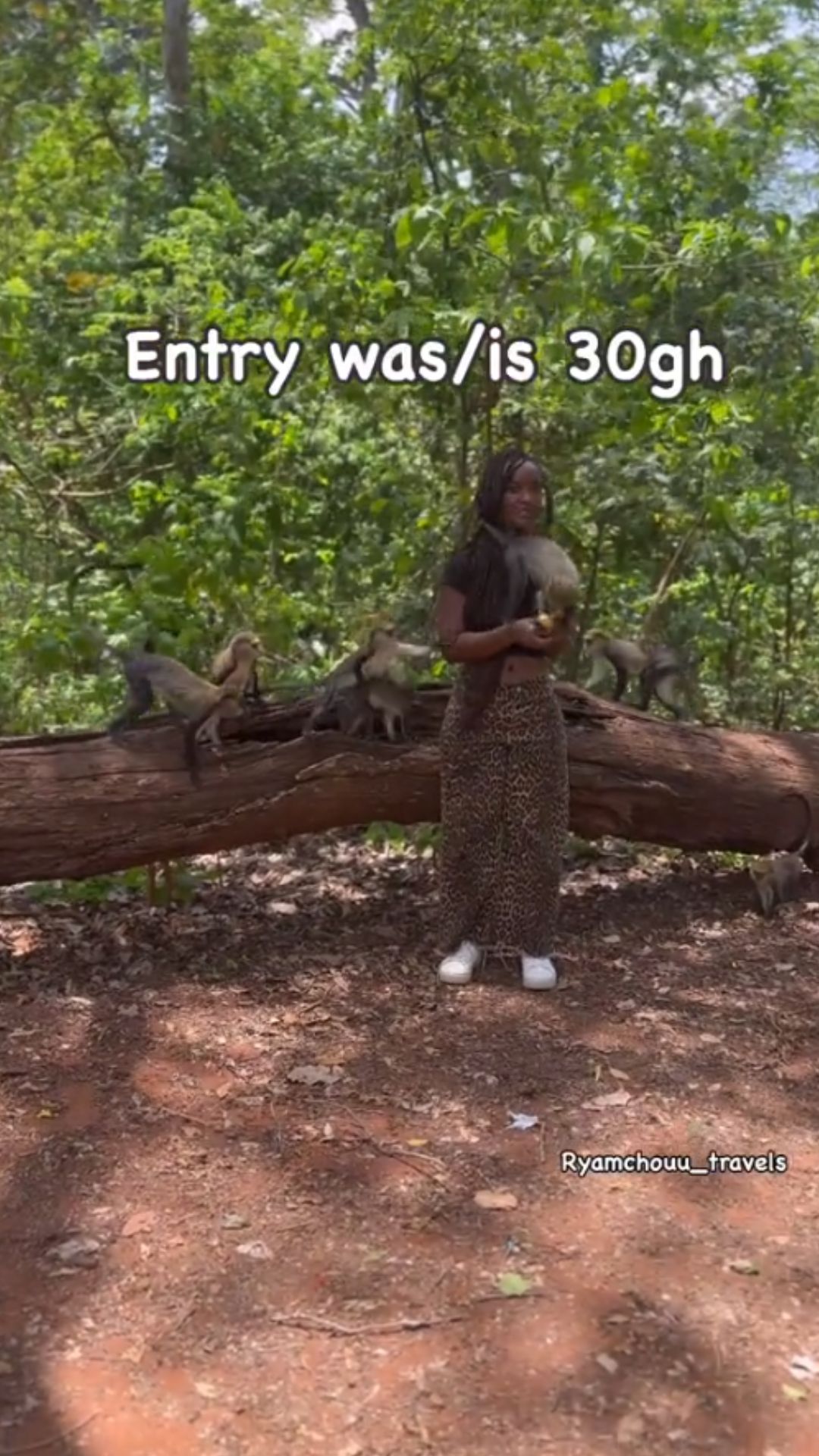 Ghana’s monkey sanctuary shows a rare bond with nature