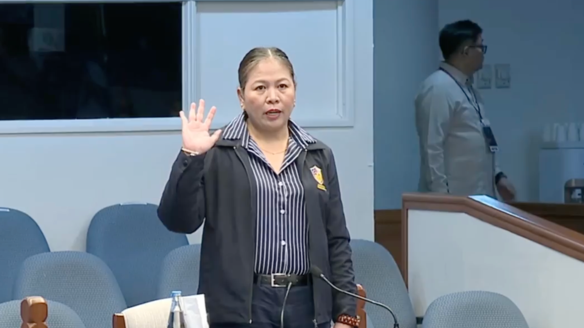 SALN form, business acquisition costs tackled in impeachment trial