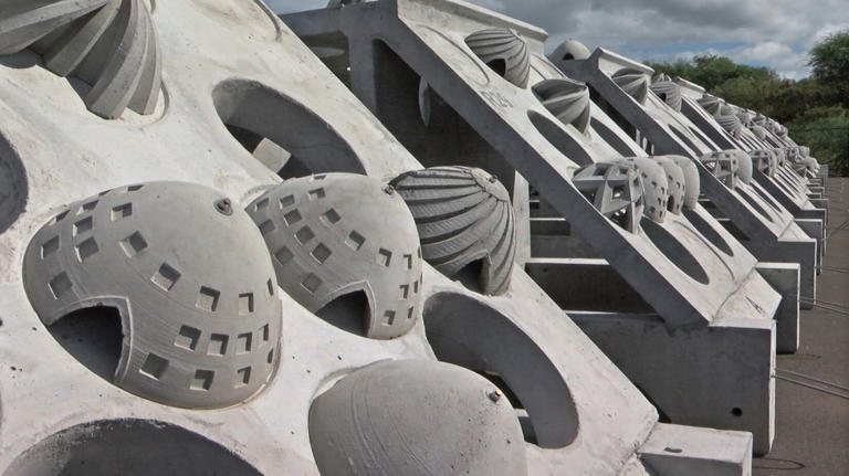 Hawaii tests ‘living breakwater’ to hold back the sea