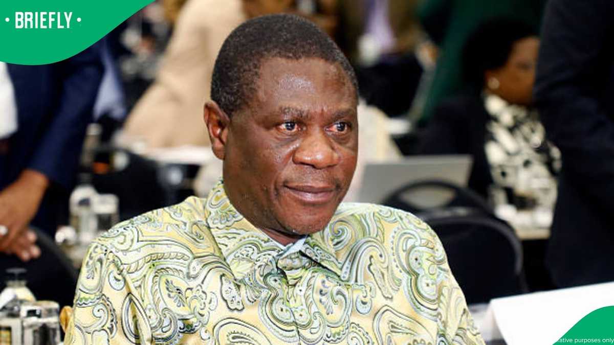 Paul Mashatile reveals why he has been missing from public events