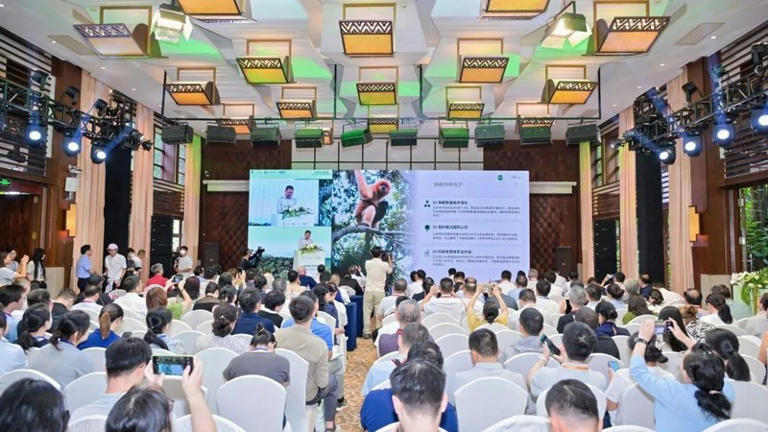 five-year-achievements-unveiled-for-hainan-tropical-rainforest-national