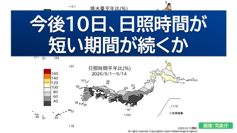 【気象庁発表】日照不足と長雨、今後10日は続く見込み。農作物への影響は？