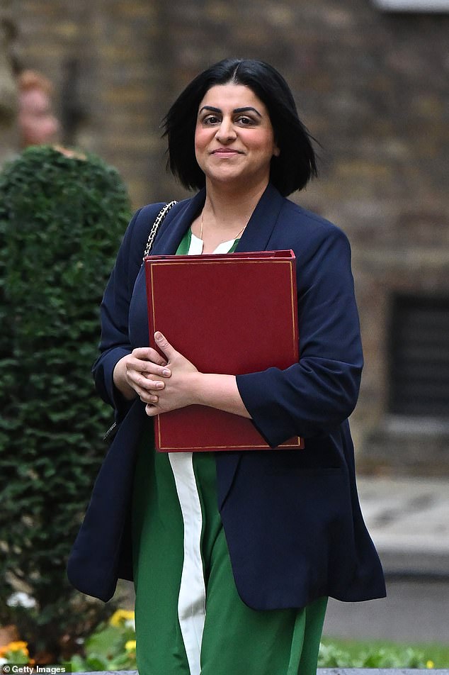 Labour's new immigration laws will not deter small boat migrants, top ...