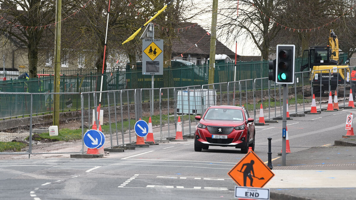 Cork councillor threatens to chain himself to trees over €7m cycle path ...