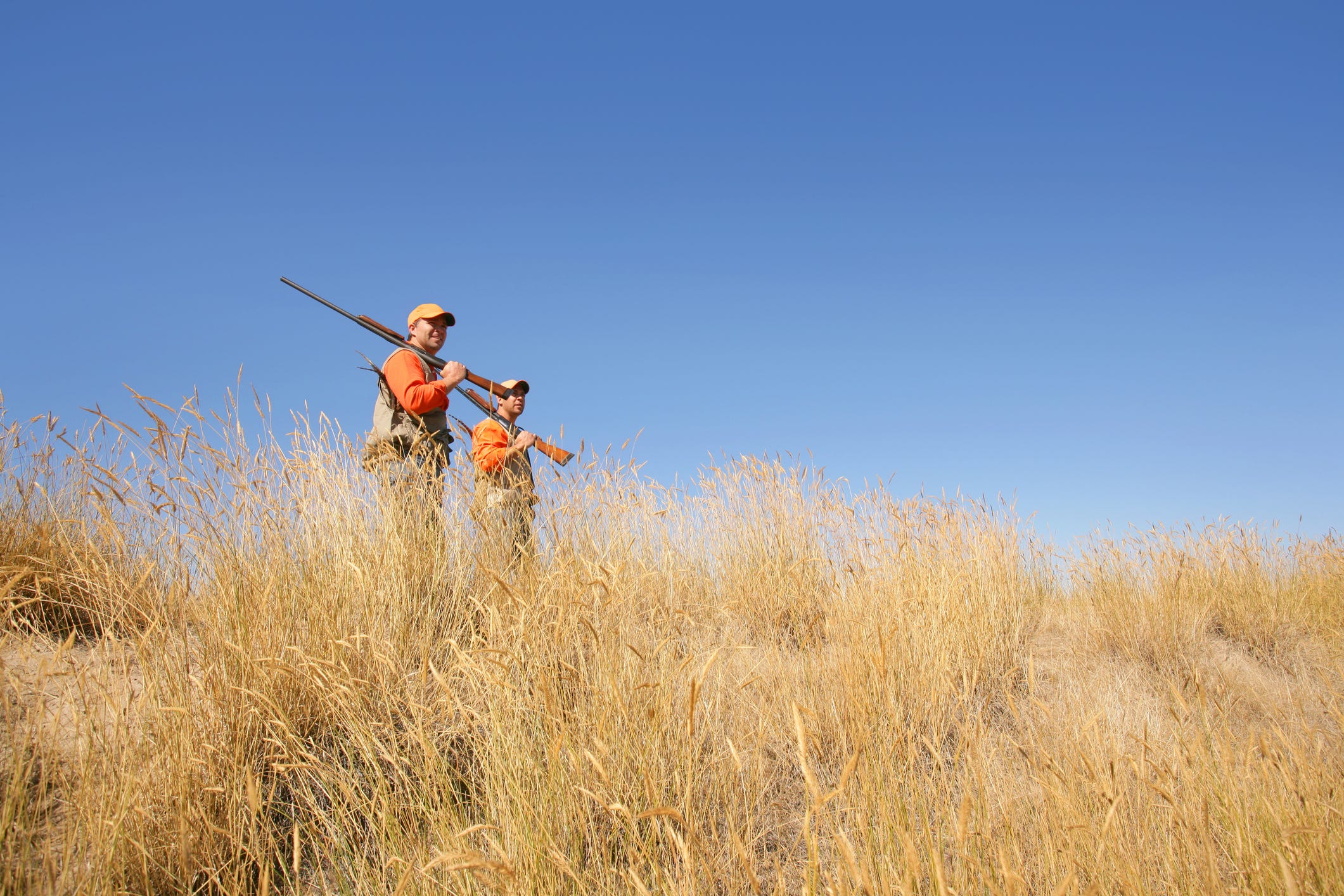 New York hunting seasons for bear and deer opens