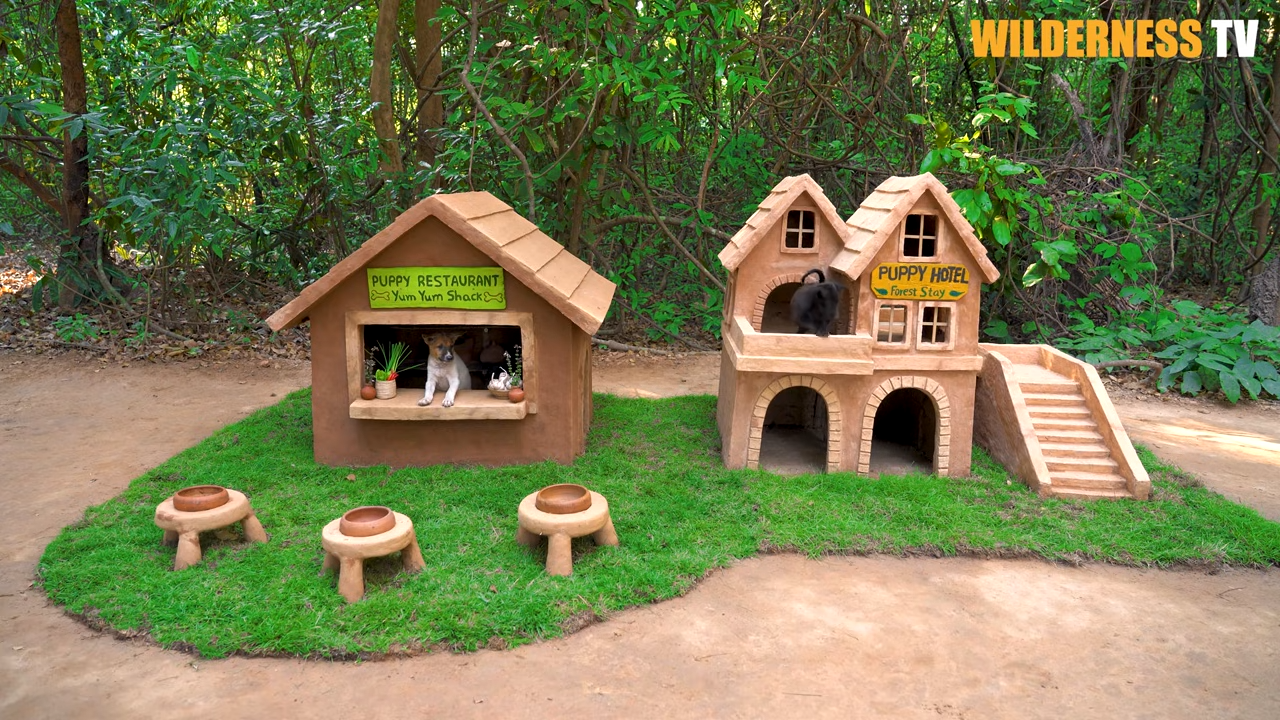 Hungry rescue dogs walk into their new clay restaurant – then dinner is ...