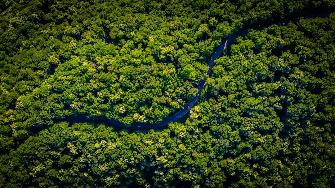 14 Ecosystems Where Biodiversity Loss Is Not Just Possible It Is 