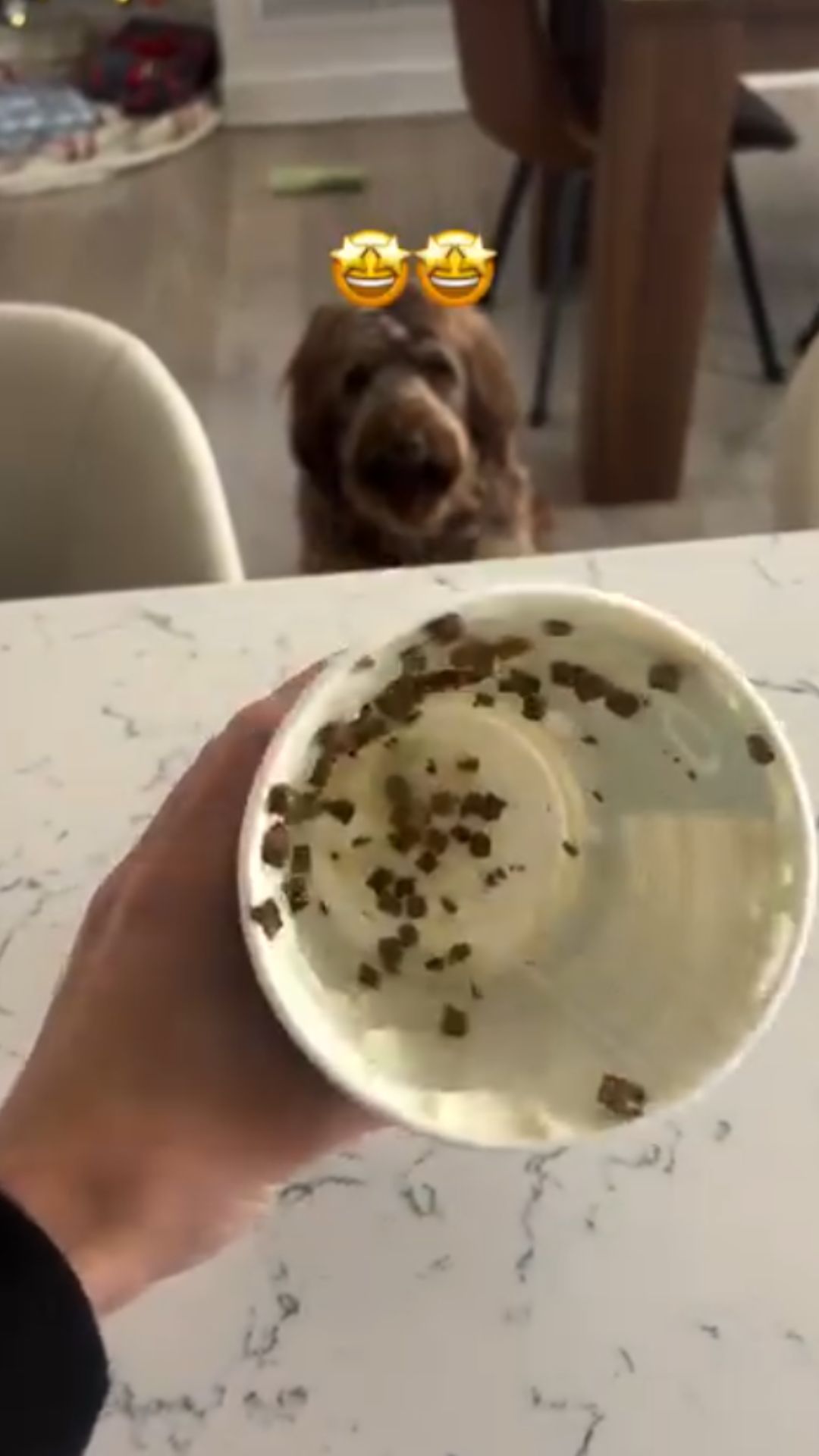 The ultimate zero waste enrichment game for dogs