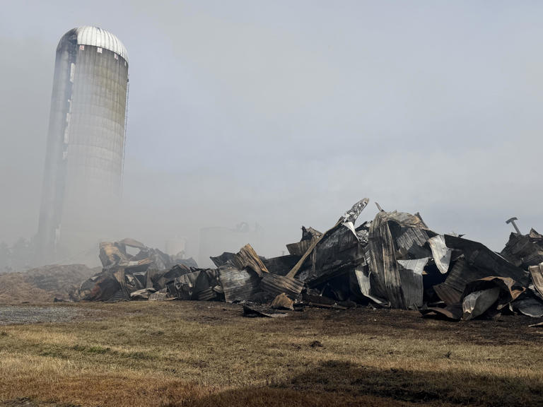170 vaches périssent dans un incendie à Wariwck