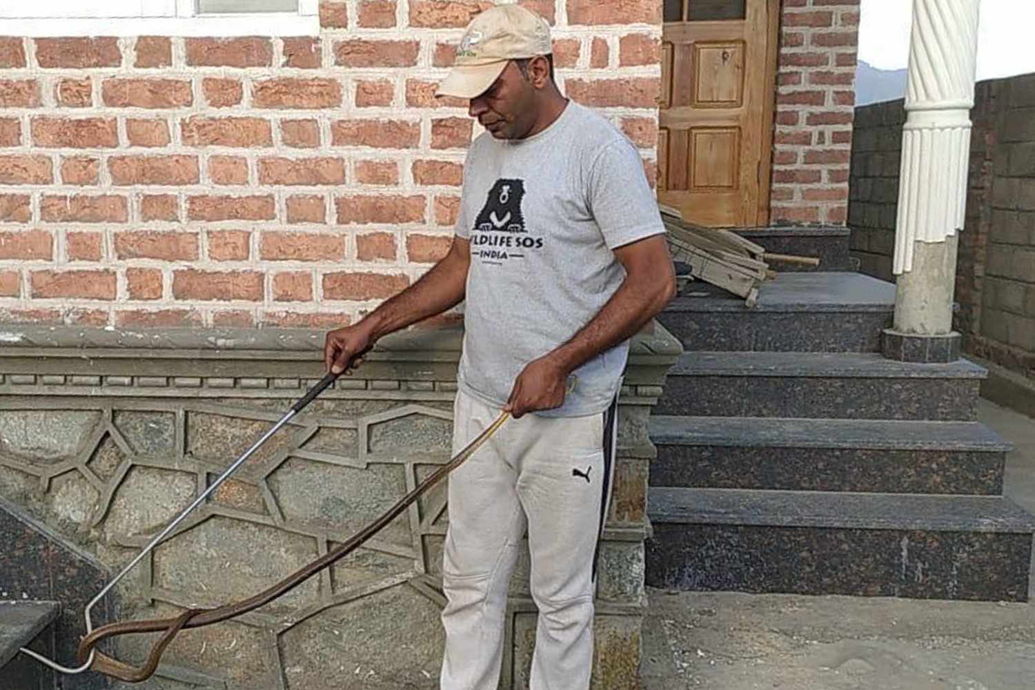 https://img-s-msn-com.akamaized.net/tenant/amp/entityid/AA2chQGU.img?w=768&h=512&m=4&q=45