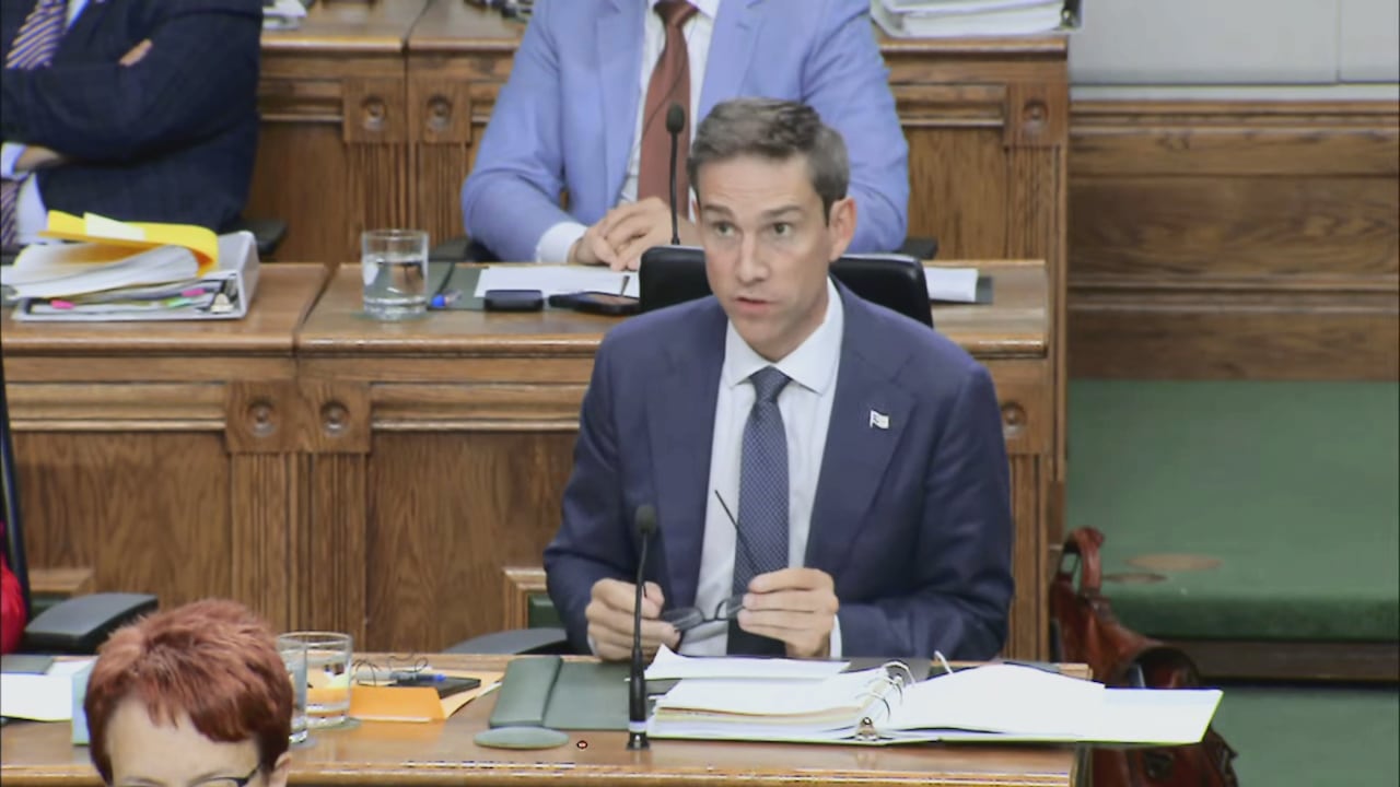 NL opposition leader frustrated he hasn’t seen Gull Island pricing ...