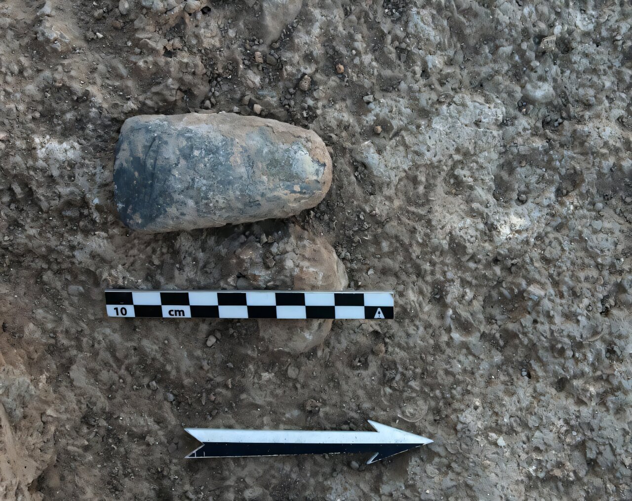 Polished stone axe at Oued Beht. Credit: Libyan Studies (2026). DOI: 10.1017/lis.2026.10037