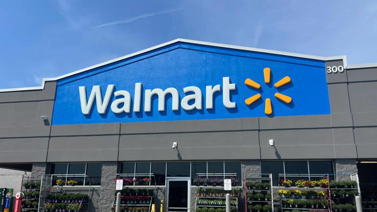 Walmart's under-$30 floral comforter set gives your bedroom instant ...