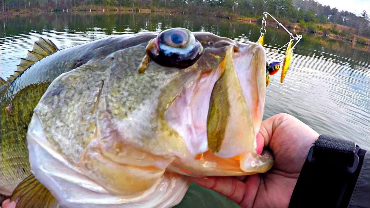 Crazy fish catch! (bug eyes)