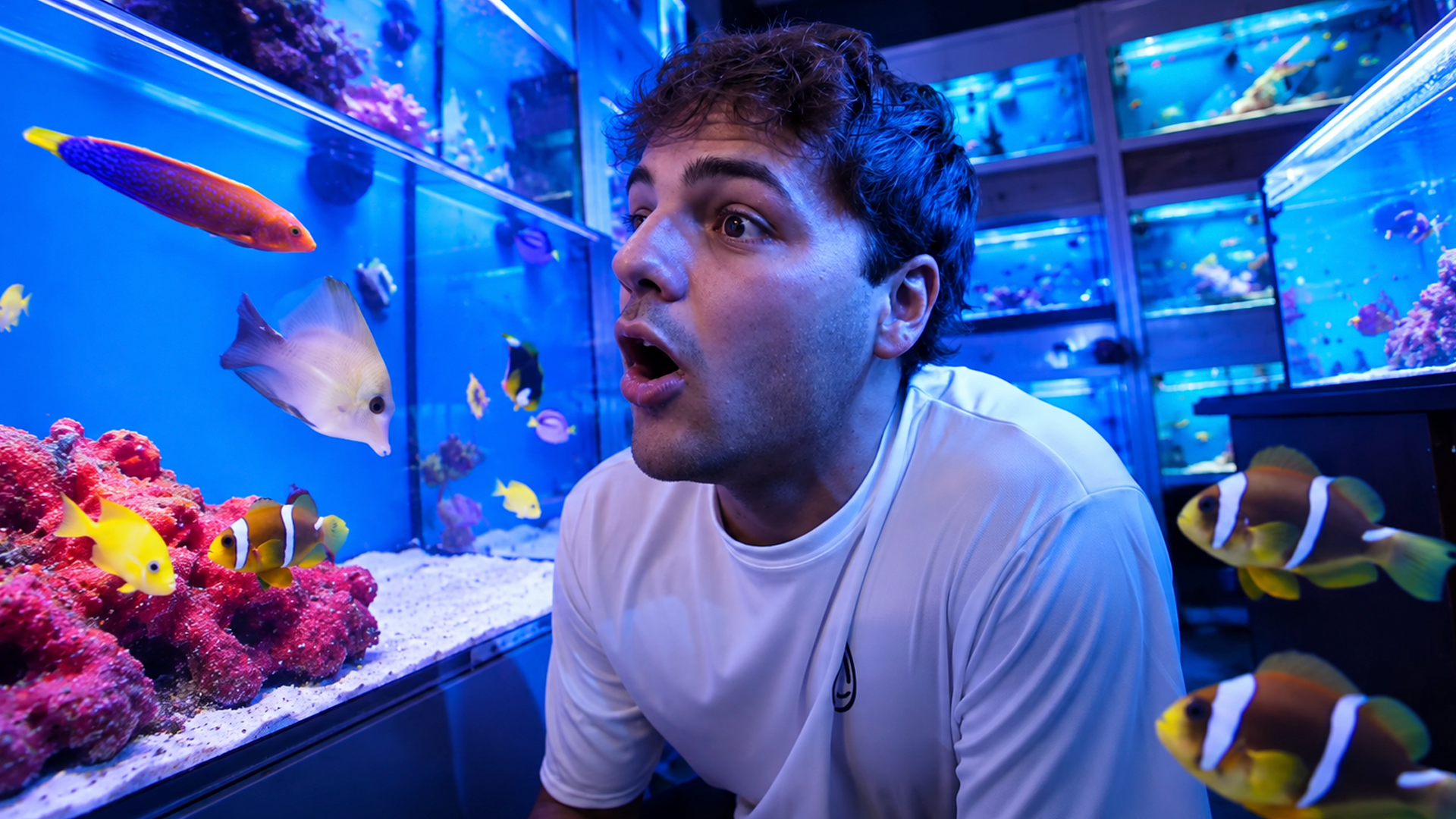 Fish shopping for my saltwater aquarium!