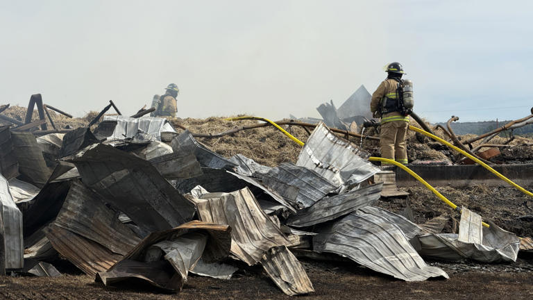 170 vaches périssent dans un incendie à Wariwck
