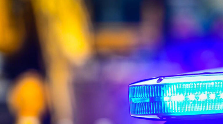 Body discovered on conveyor belt at area recycling plant