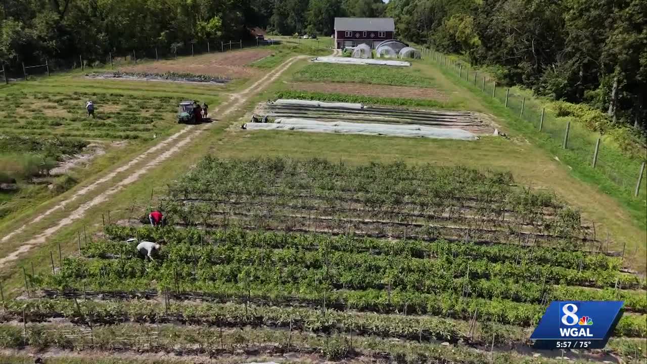 Lebanon County seniors grow organic produce through farm-to-table program