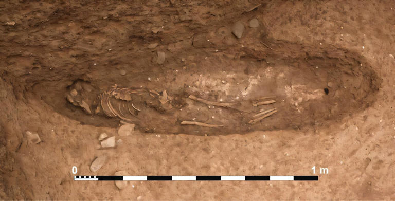 Exposed skeletal remains at Oued Beht. Credit: Libyan Studies (2026). DOI: 10.1017/lis.2026.10037