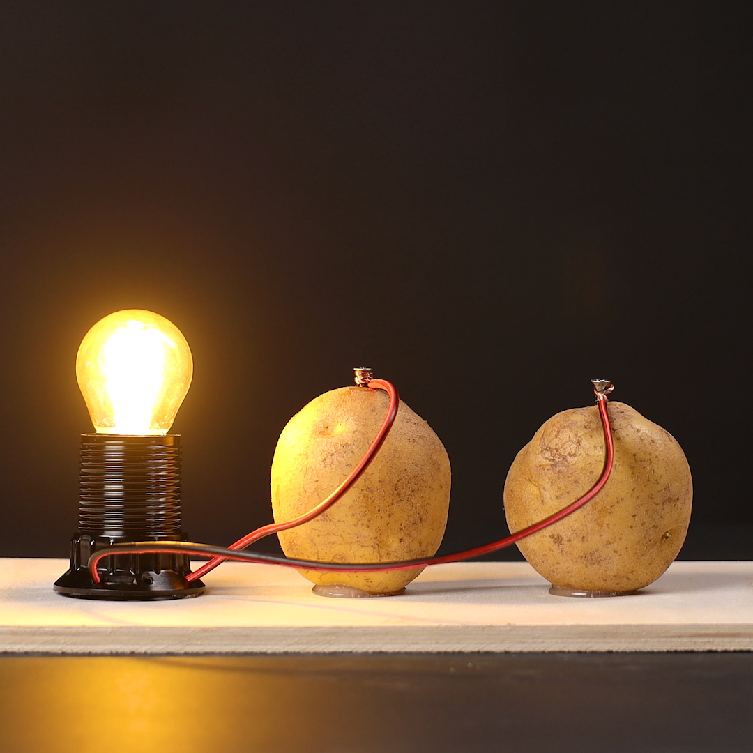 Creating free energy using potatoes ⚡🥔