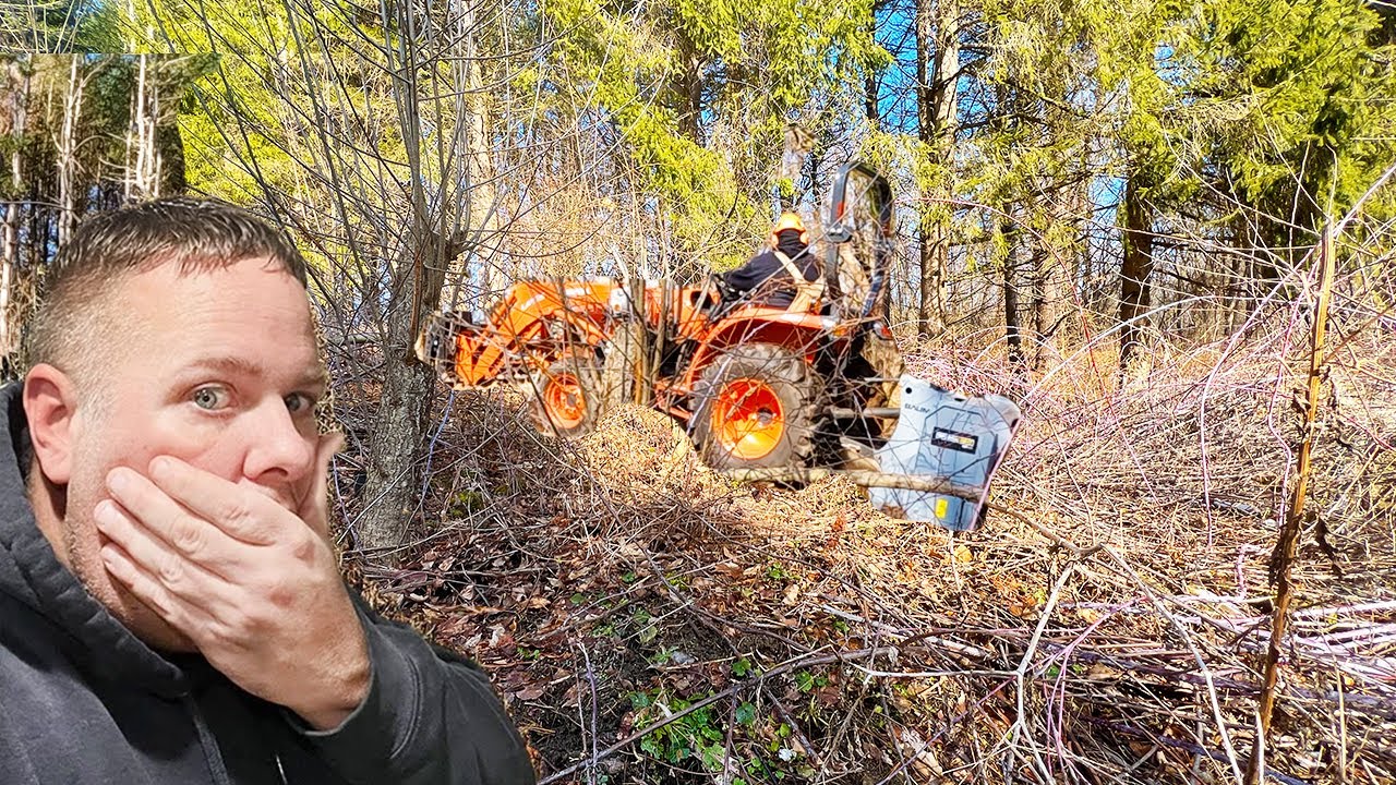 Epic backyard transformation: Clearing overgrown land with Kubota ...