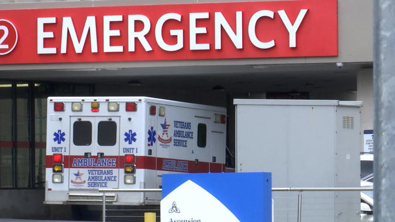 Nashville colleges working to meet nursing demands ahead of 2035 ...