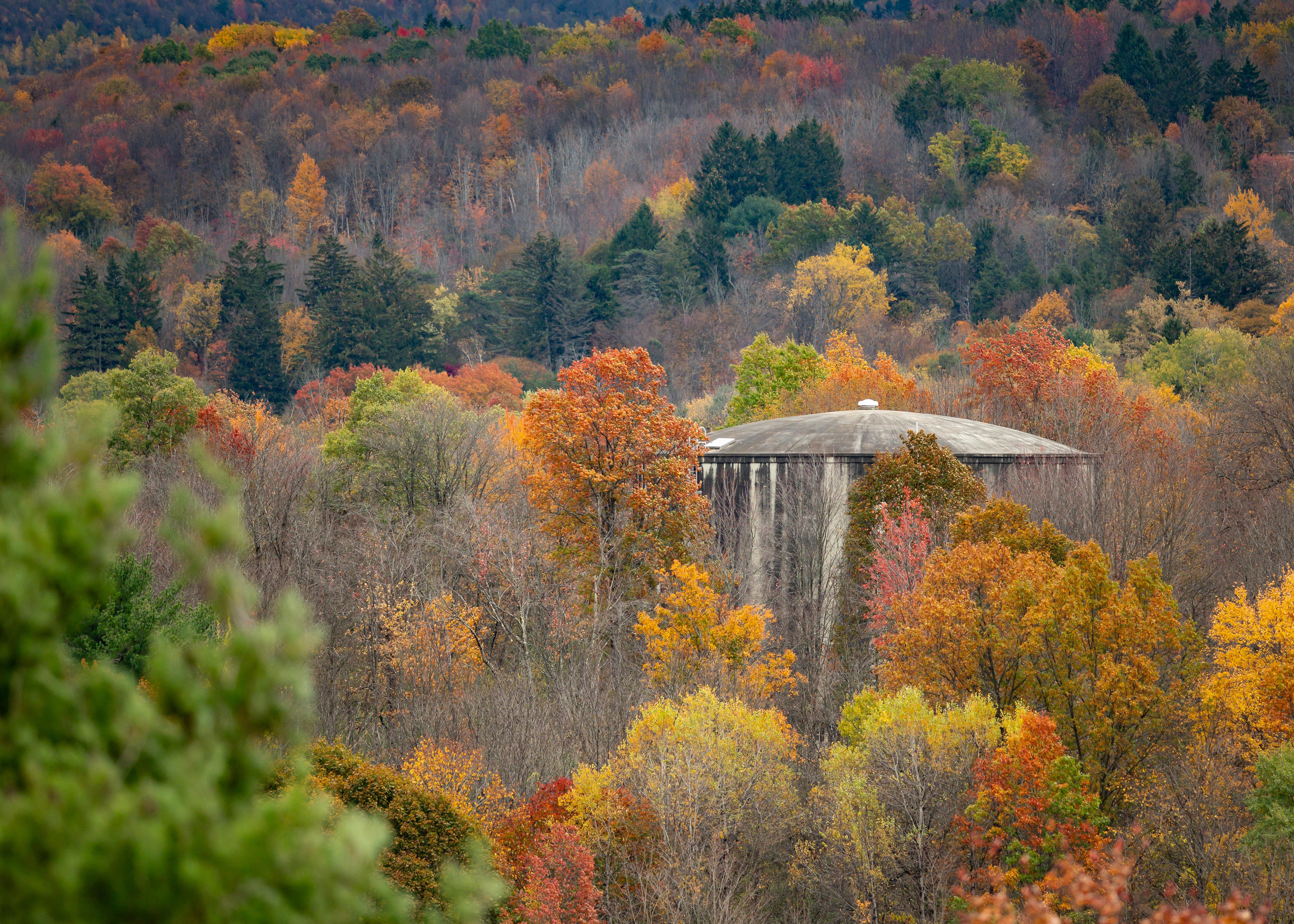 Celebrate fall in Mohawk Valley with numerous festivals, events
