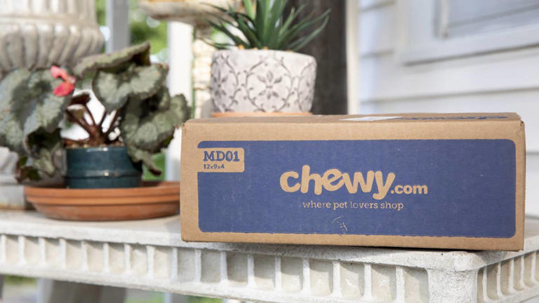 Chewy’s cat-shaped shelves turn an empty wall into the cutest kitty ...