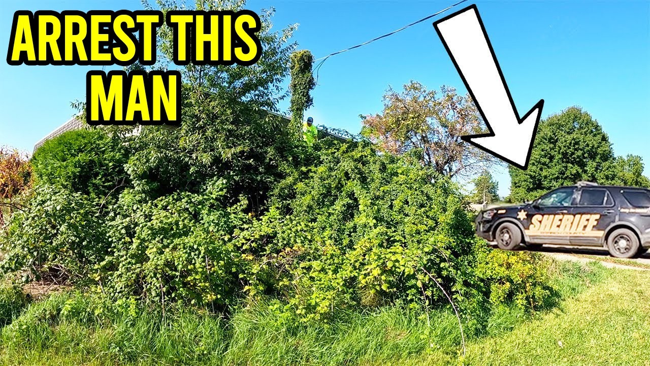 Extreme overgrown yard cleanup: Hidden sidewalk revealed (satisfying ...