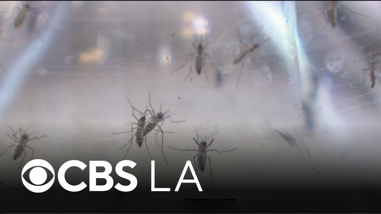 Orange County vector control officials West Nile virus threat is ...