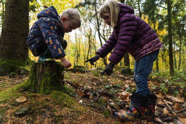 gruffalo-granny-storytelling-event-coming-to-this-north-yorkshire-forest