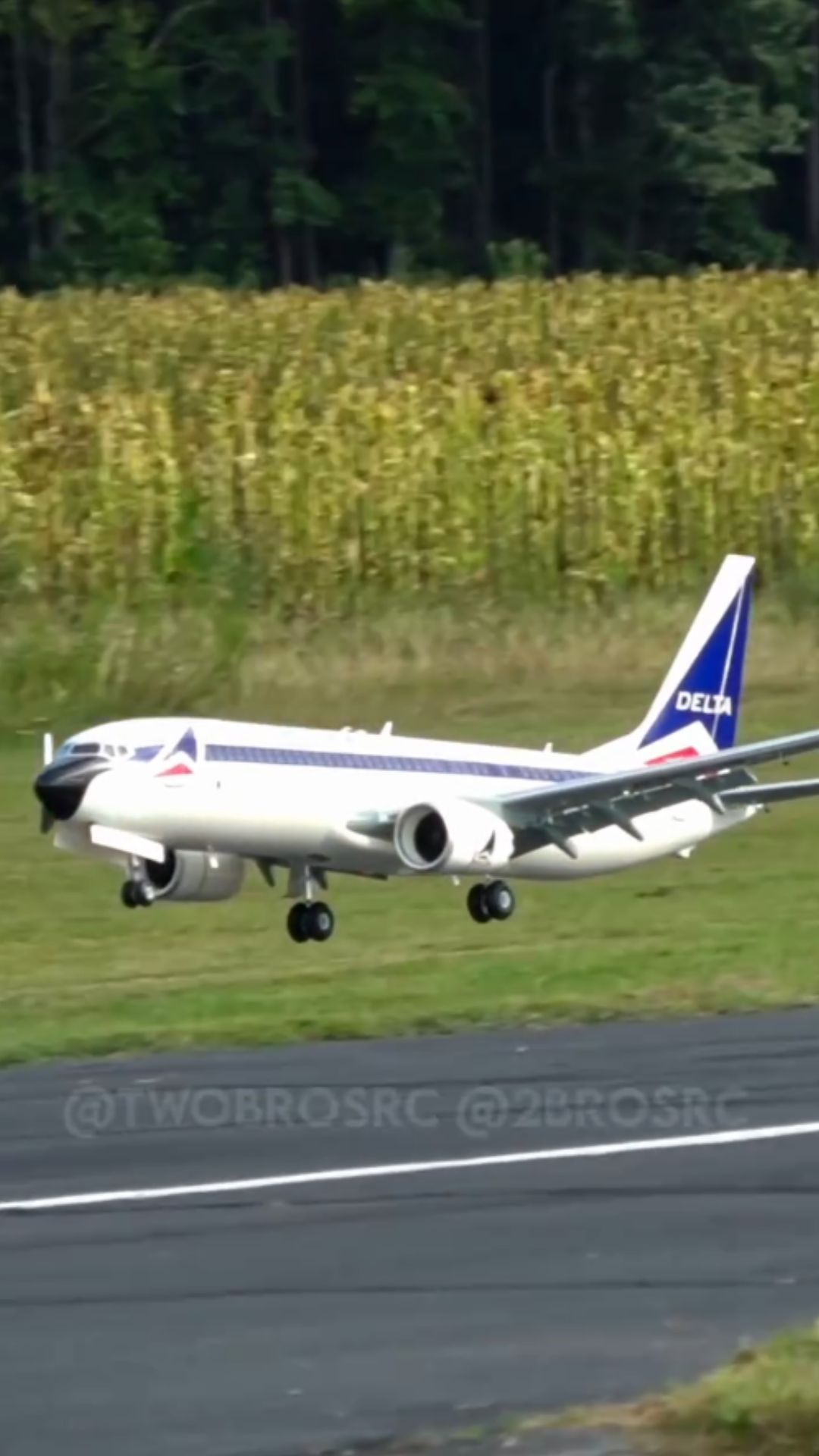 Custom painted Delta 737 MAX makes a stunning landing
