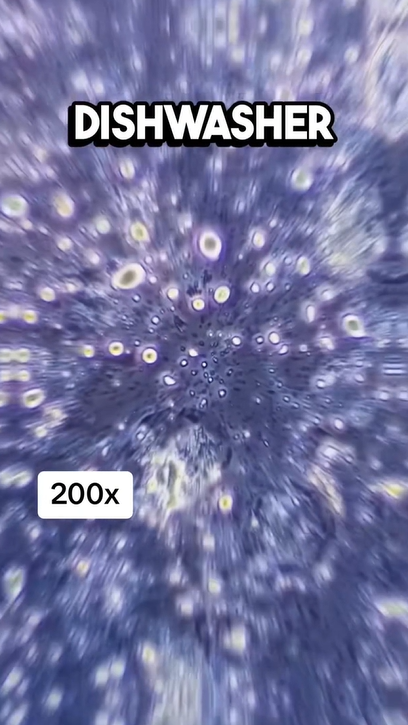 What a microscope reveals about everyday objects