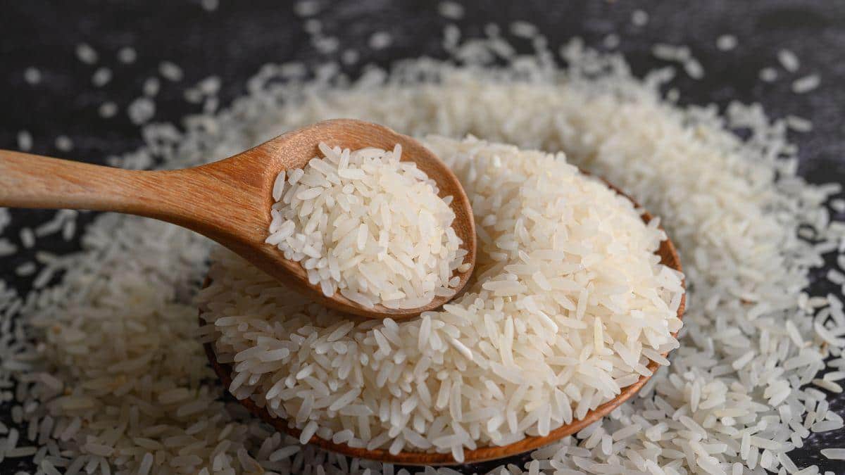 West Asia crisis hits India’s rice exports: Shipments grow just 2.1% in ...