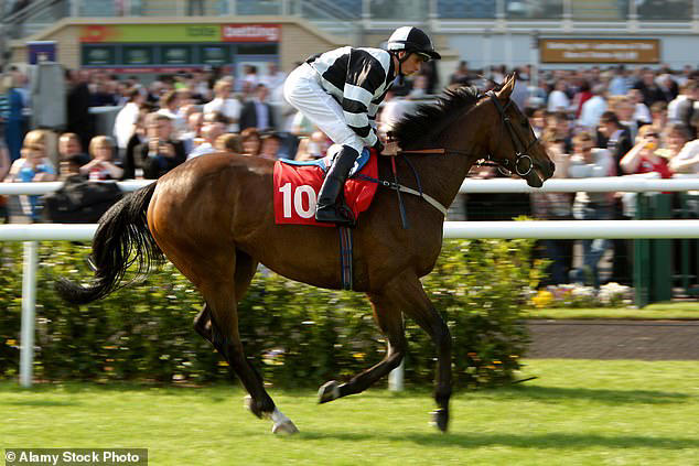 Paddy competed in British Flat racing from 2005 to 2014, amassing 63 winners over his career 