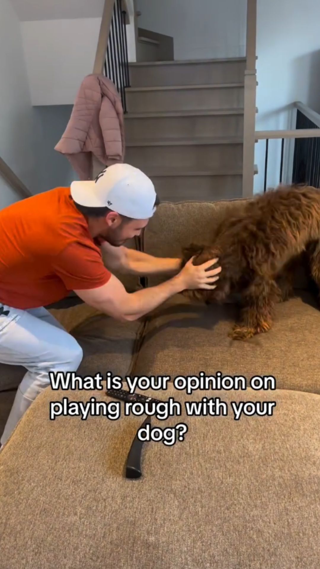 Can roughhousing teach dogs bad habits? Key insights for owners