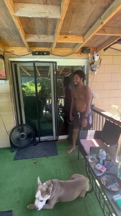 Man attempts ambitious pool jump but takes hilarious tumble instead