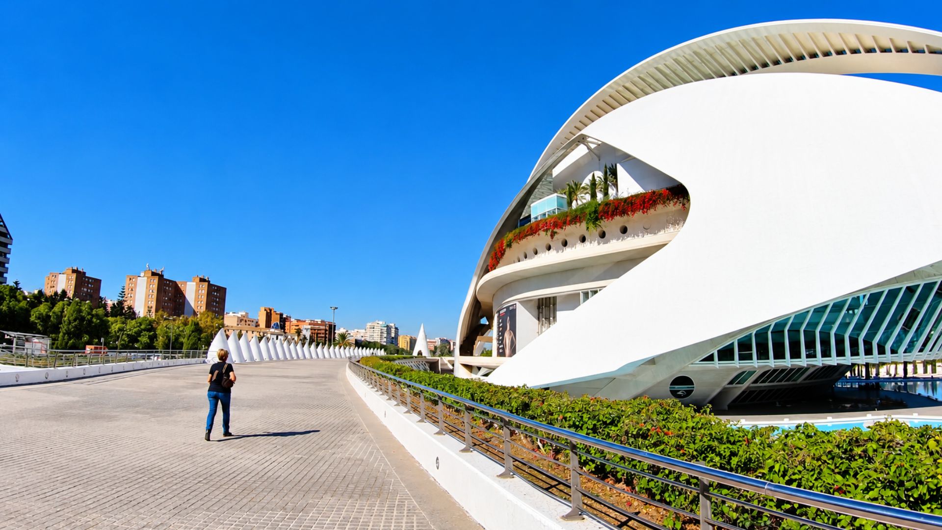 White curves define Valencia City of Arts and Sciences (4K)