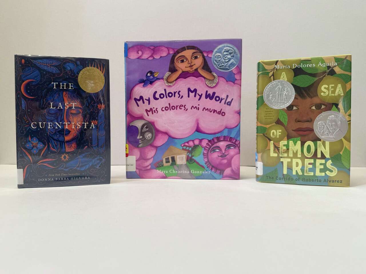 Manistee County Library shares Hispanic Heritage Month reading list