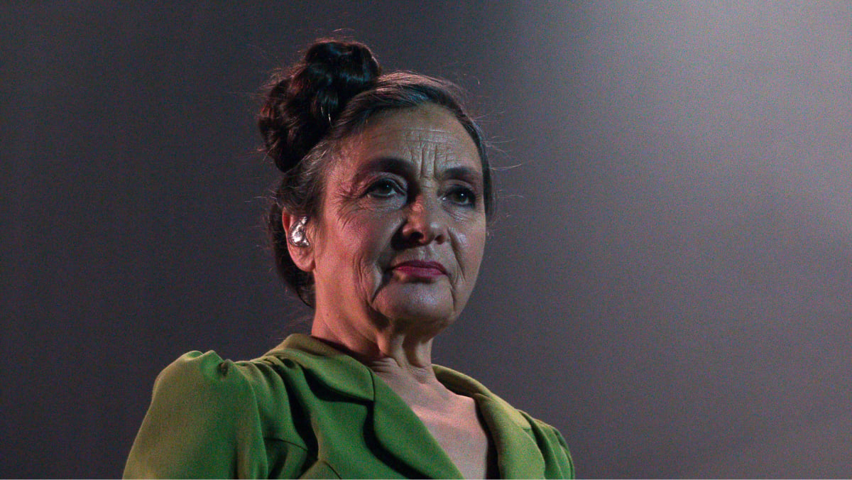 catherine-ringer-nous-a-quitt-s-son-fils-raoul-n-de-son-union-avec