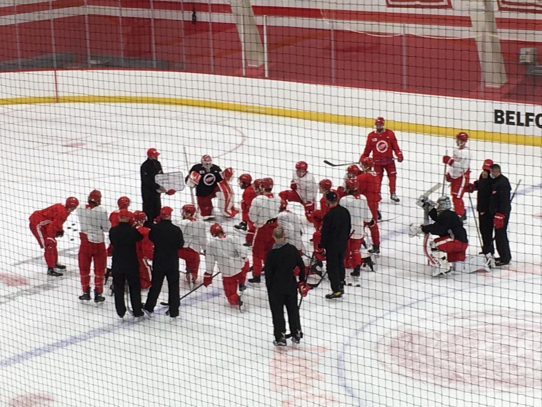 Red Wings training camp roster set as team ready to take the ice