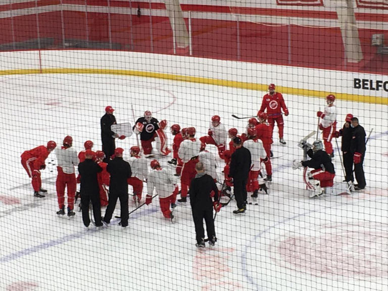 Red Wings training camp roster set as team ready to take the ice
