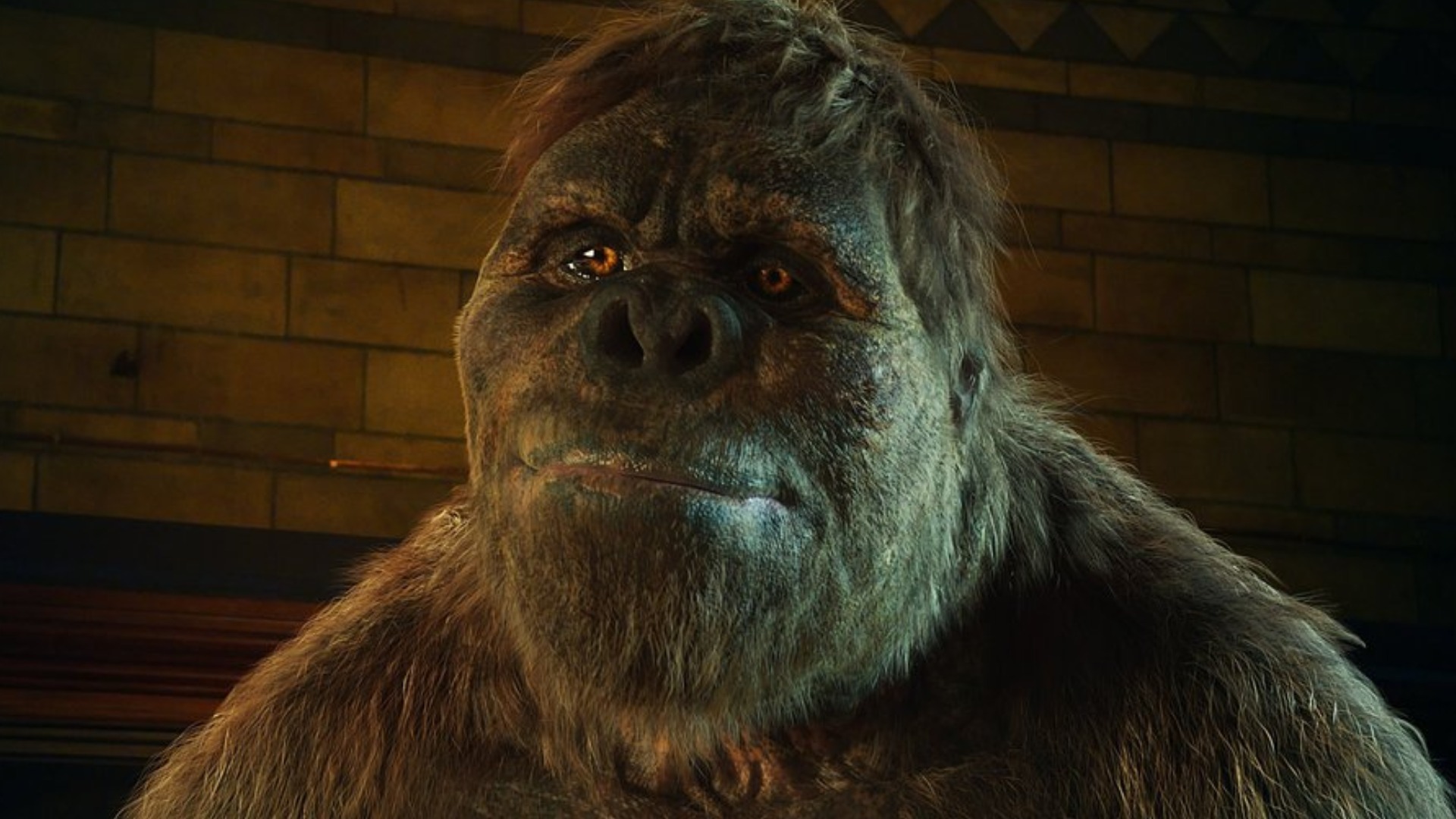 Common animals that were frighteningly large in the prehistoric era